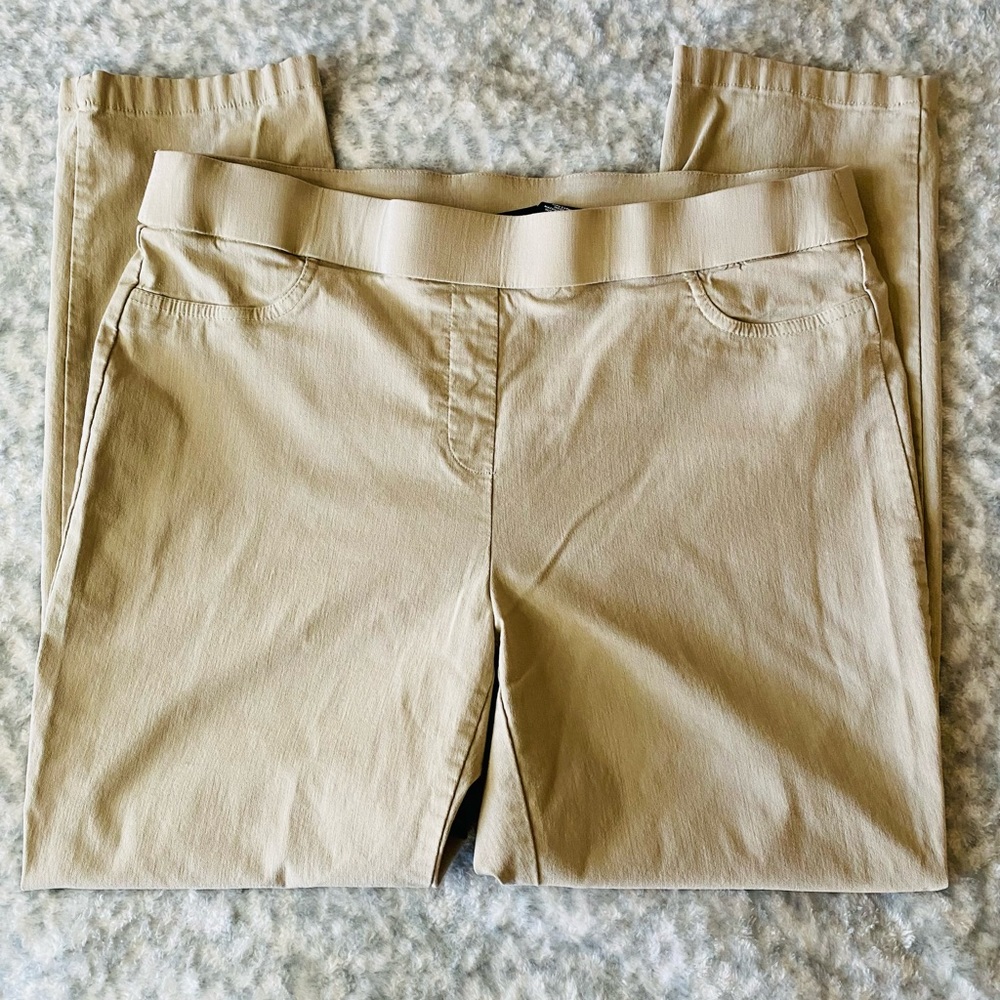 Nue Options Beige Pull On Pants Polyester Rayon Spandex Size 16